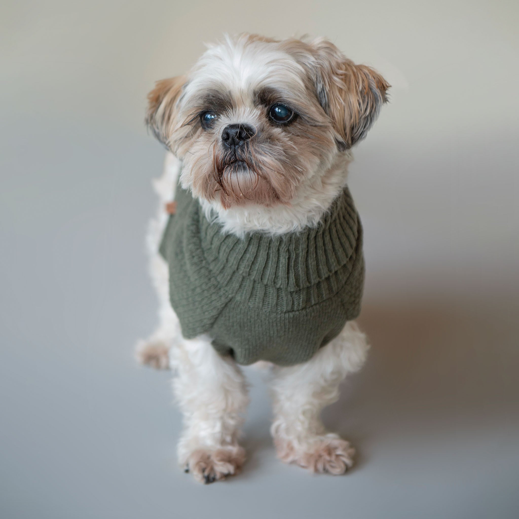 Hundesweater i økologisk lammeuld – khaki green
