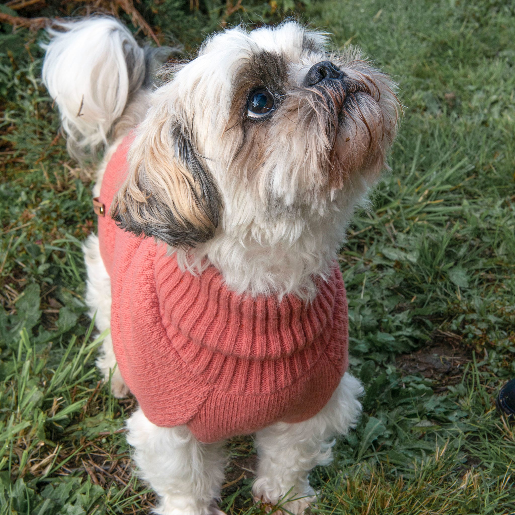 Hundesweater i økologisk lammeuld – rose dust